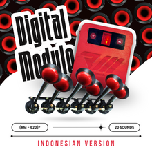 Load image into Gallery viewer, M-620 (V1.0) | ROMEO Control Box | For 6 Trumpet Air Horn | 20 Melodies, 12/24V